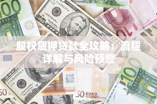 武汉股权质押贷款全攻略：流程详解与风险预警