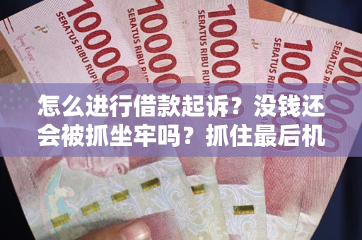 武汉怎么进行借款起诉？没钱还会被抓坐牢吗？抓住最后机会！