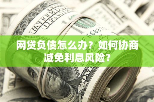 武汉网贷负债怎么办？如何协商减免利息风险？