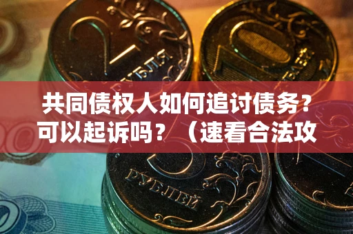 武汉共同债权人如何追讨债务？可以起诉吗？（速看合法攻略）