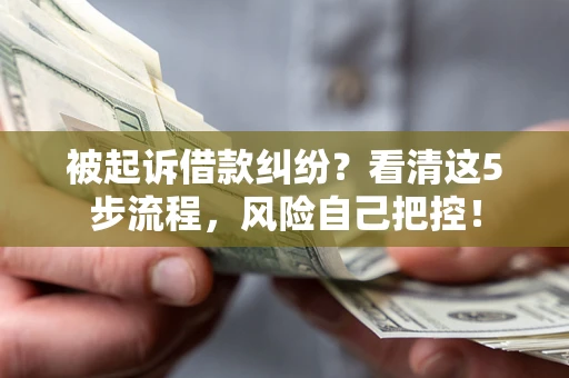 武汉被起诉借款纠纷？看清这5步流程，风险自己把控！