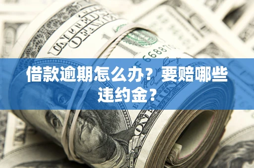 武汉借款逾期怎么办？要赔哪些违约金？