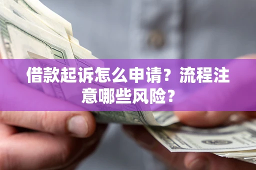 武汉借款起诉怎么申请？流程注意哪些风险？