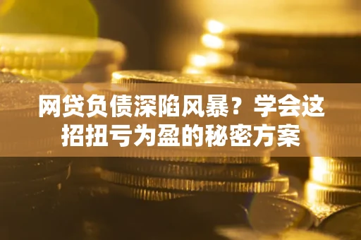 武汉网贷负债深陷风暴？学会这招扭亏为盈的秘密方案
